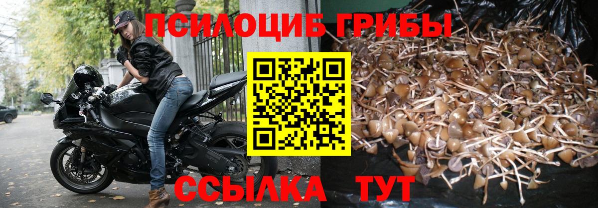Щёлково  Галлюциногенные грибы мицелий  Вход с VPN 